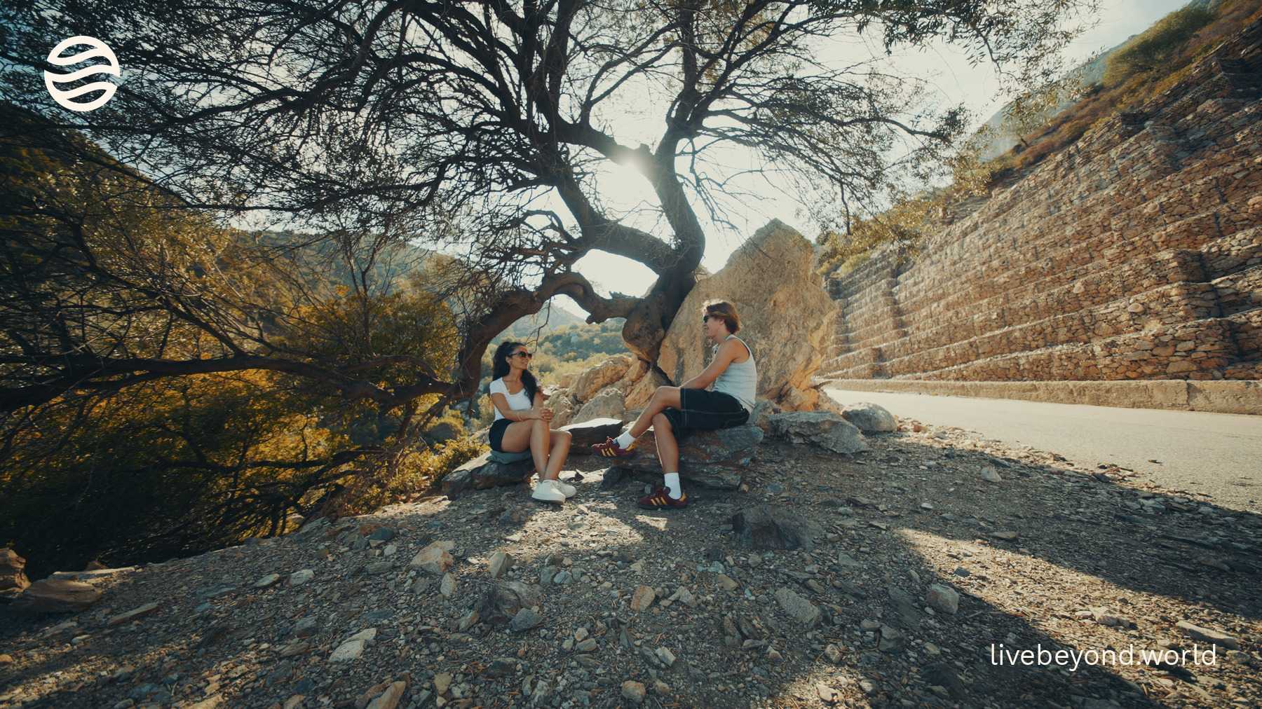 Alek and Paola Demurtas sitting under a wide old tree on a rocky slope above a road in Sardinia, in late afternoon light.