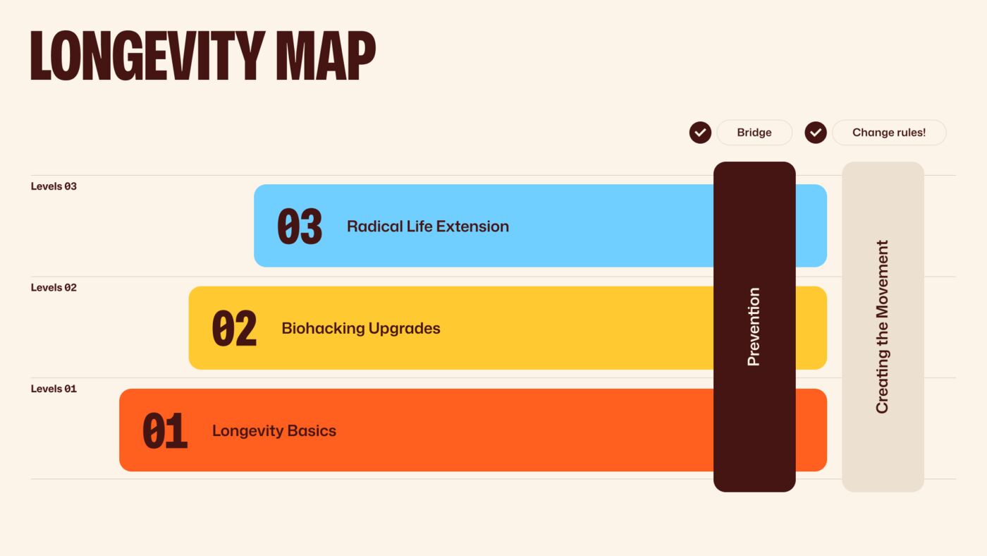 The Longevity Map — levels of the game