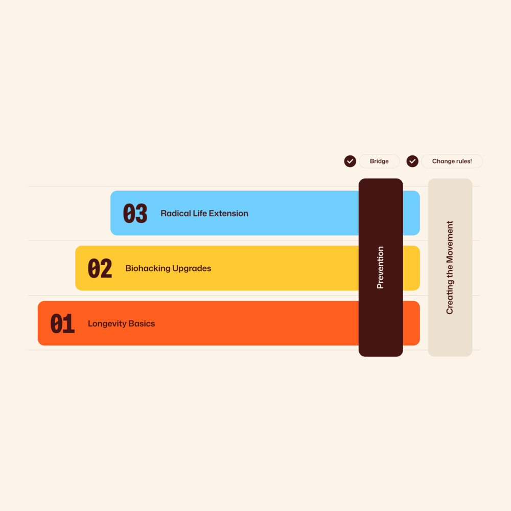 The Longevity Map — the levels of the game