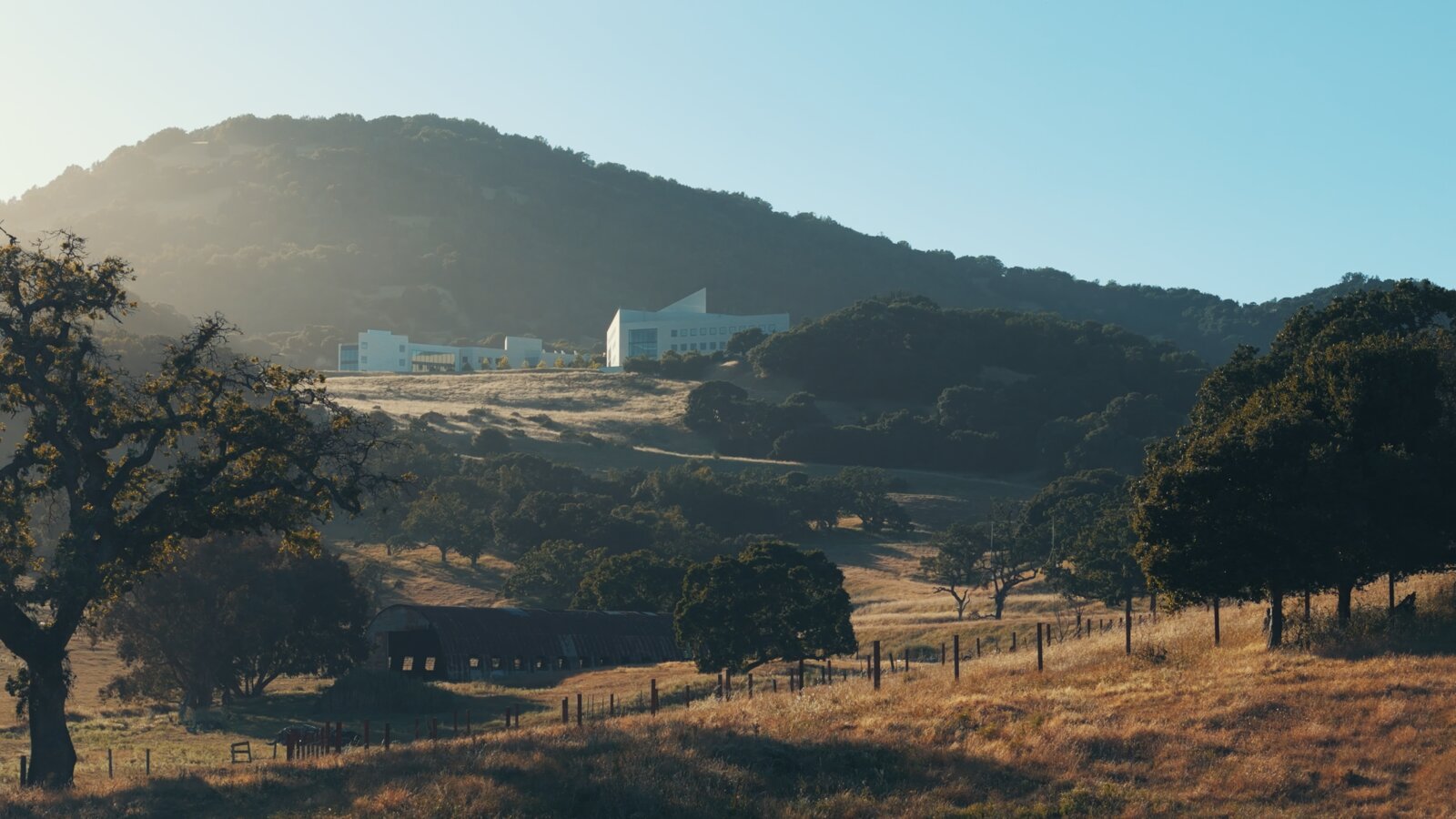 The Buck Institute on its golden hillside in Marin County