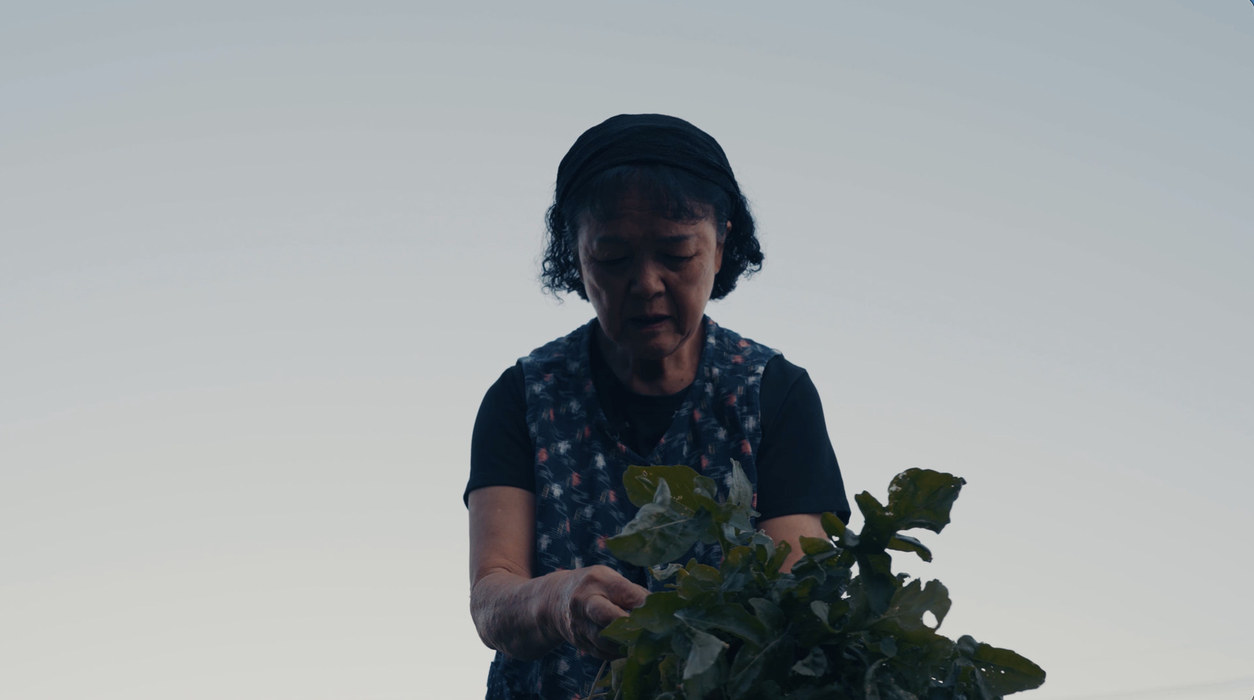 Emi-san picking vegetables in her garden at Ogimi, Okinawa