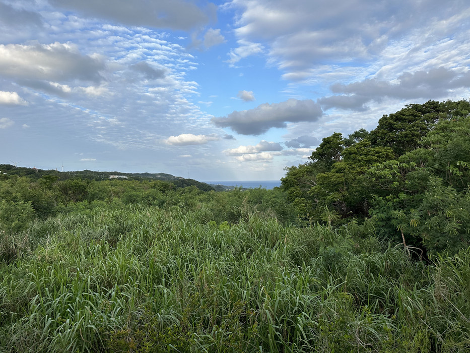 The jungle and the sea seen from above Nanjo, Okinawa