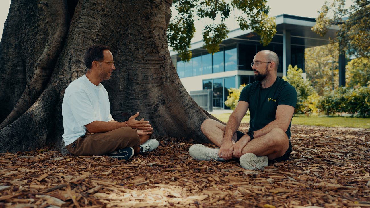 Tim Veron — Under the tree